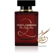 تصویر ادوپرفیوم زنانه دولچه گابانا د اونلی وان 2 _ Dolce & Gabbana (D&G) The Only One 2 Eau De Parfum (EDP) 100ml 