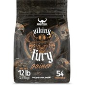 تصویر گینر فیوری وایکینگ فورس gainer fury viking