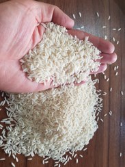 تصویر برنج طارم هاشمی امین محصول اندیکلای بابل مازندران خوشپخت و خوش طعم و درجه یک 