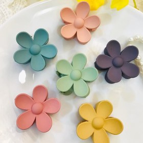 تصویر کلیپس کوچک بابونه 
