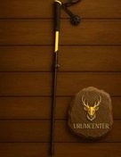 تصویر عصای کوهنوردی Black Diamond 