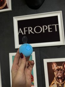 تصویر توپ موزیکال گربه 