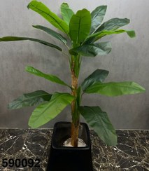 تصویر درختچه مصنوعی موز دو تنه بزرگ 
