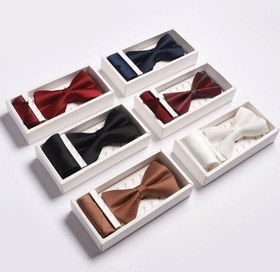 تصویر پاپیون P13 