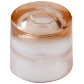 تصویر سلول ملکه شفاف 