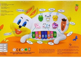 تصویر ارگ خرگوش خارجی اصلی 