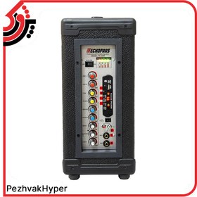 تصویر اکو همراه اکو پارس ECHOPARS PA-2906 MIC 