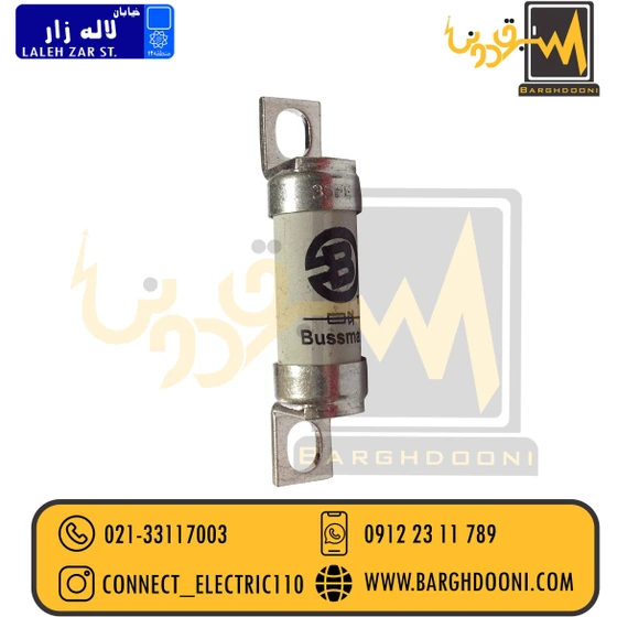 خرید و قیمت فیوز شاخکدار 35 آمپر تندسوز باسمن مدل FE35 | ترب