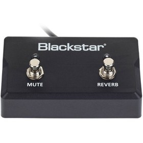 تصویر فوت سوئیچ Blackstar FS 17 