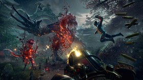 تصویر خرید بازی Shadow Warrior 2 از استیم نسخه اورجینال 