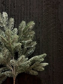 تصویر کاج شاخه کوتاه وینتیج 