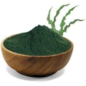 تصویر پودر جلبک اسپیرولینا (Spirulina) - 30گرم Spirulina