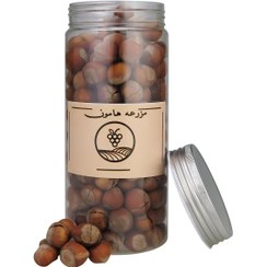 تصویر فندق با پوست ممتاز مزرعه هامون - بسته 300 گرمی 