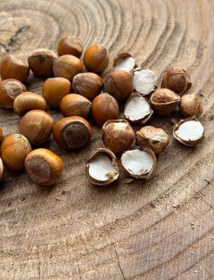 تصویر فندق خام ییلاق نشکسته