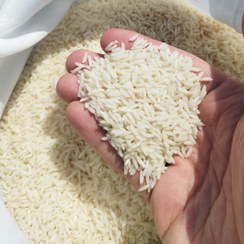 تصویر برنج Rice