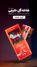 تصویر شاخه گل رز هلندی Flower roz