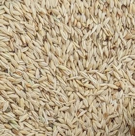 تصویر جو درجه1 jo