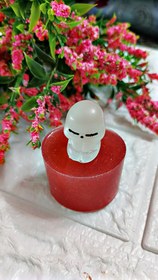 تصویر قالب توپولیا 