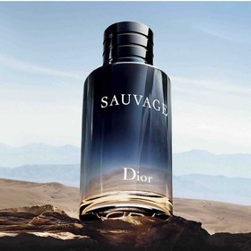 تصویر عطر دیور ساواج مردانه (luzi) Dior Sauvage 