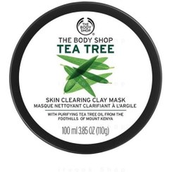 تصویر ماسک صورت بادی شاپ مدل tea tree حجم 100 میلی لیتر ا Body shop face mask tea tree model 100ml 