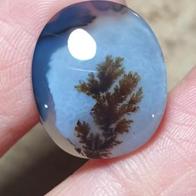 تصویر عقیق شجر قائن 