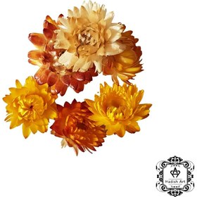 تصویر گل خشک مینا صادراتی 