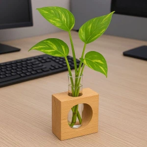 تصویر فروشگاه چوبجا