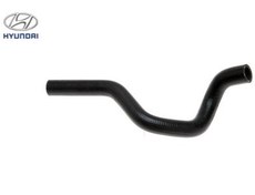 تصویر شیلنگ بخاری هیوندای آزرا 