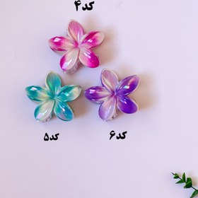 تصویر پلومریا ساحلی (۸سانتی) 