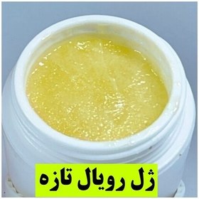 تصویر ژل رویال اصل 20 گرمی خرید از زنبودار ( 1 گرم 23 ت) 