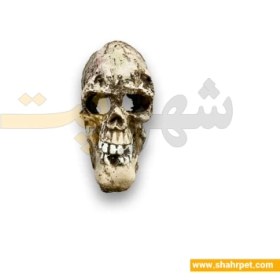 تصویر دکور آکواریوم جمجمه کوچک Aquarium Decoration Small Skull