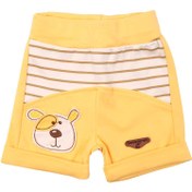 تصویر شورت پادار هورام به آوران Behavaran Horam Shorts With Legs