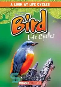 تصویر دانلود کتاب Bird Life Cycles - چرخه های زندگی پرندگان 