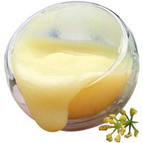 تصویر توضیحات محصول 