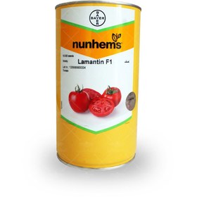 تصویر بذر گوجه فرنگی لمنتین سانسید نانهمز Tomato Lamantin F1 Nunhems Seeds