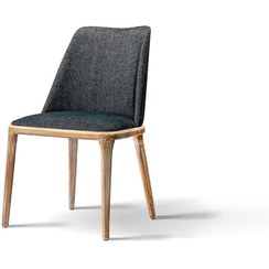 تصویر صندلی ناهارخوری هکتور W2008 