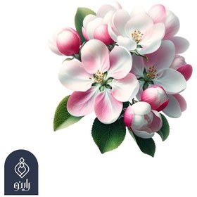 تصویر عطر طبیعی شکوفه سیب (shokofe sib) 