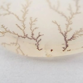 تصویر سنگ شجر کد 2383 