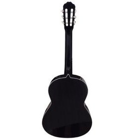 تصویر گیتار دیاموند مدل 2022 