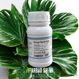 تصویر محیط کشت Orange Serum Agar کیولب 