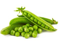 تصویر بذر نخود فرنگی زودرس پفکی ولف روزن سیدز هلند - ۲۰۰ عددی 