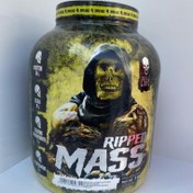 تصویر گینر ریپید مس اسکال لبز اورجینال RIPPED MASS