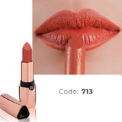تصویر رژلب جامد لابلاجیوانی شماره 713 مرجانی تیره ا labelle givani lipstick code:713 labelle givani lipstick code:713