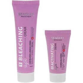 تصویر کرم بی رنگ کننده مو سی گل مدل 2in1 حجم 60 میلی لیتر به همراه کرم بی رنگ کننده مو حجم 30 میلی لیتر 