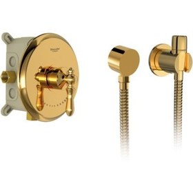 تصویر شیر توالت توکار زیگموند Zigmond Gold Toilet Wall Mounted