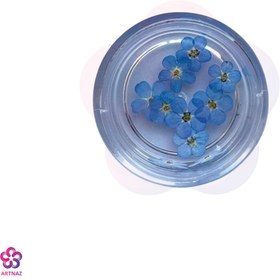 تصویر گل خشک فراموشم نکن 