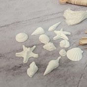 تصویر بیس خام ستاره دریایی 