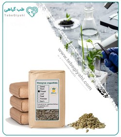 تصویر گل سنجد خشک فله 