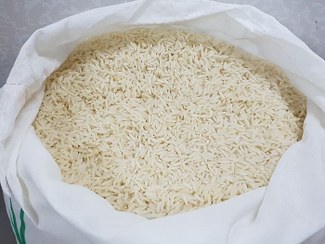 تصویر برنج کشت دوم فریدونکنار 