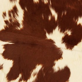 تصویر پوست تزئینی P343 